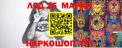 Альфа ПВП Моздок