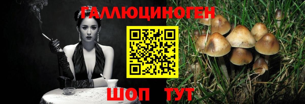 Псилоцибиновые грибы Cubensis  Вход с VPN  Видное 