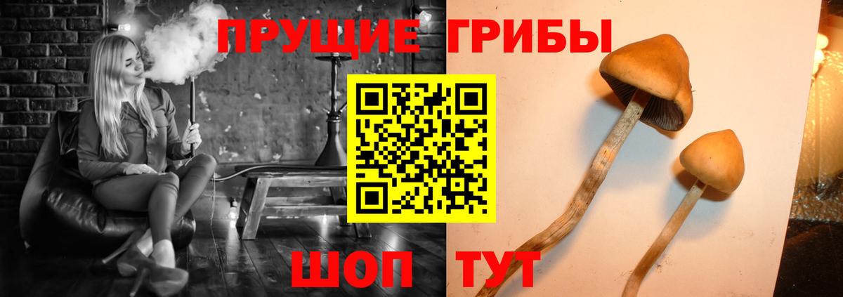 Галлюциногенные грибы Magic Shrooms Видное